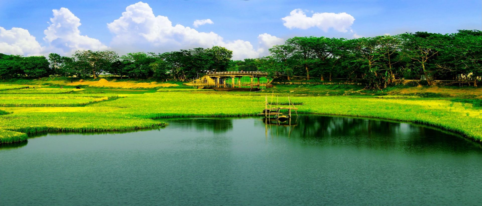 Abritti Bishwqagyanalay